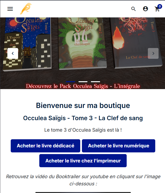 Aperçu de la boutique en ligne.